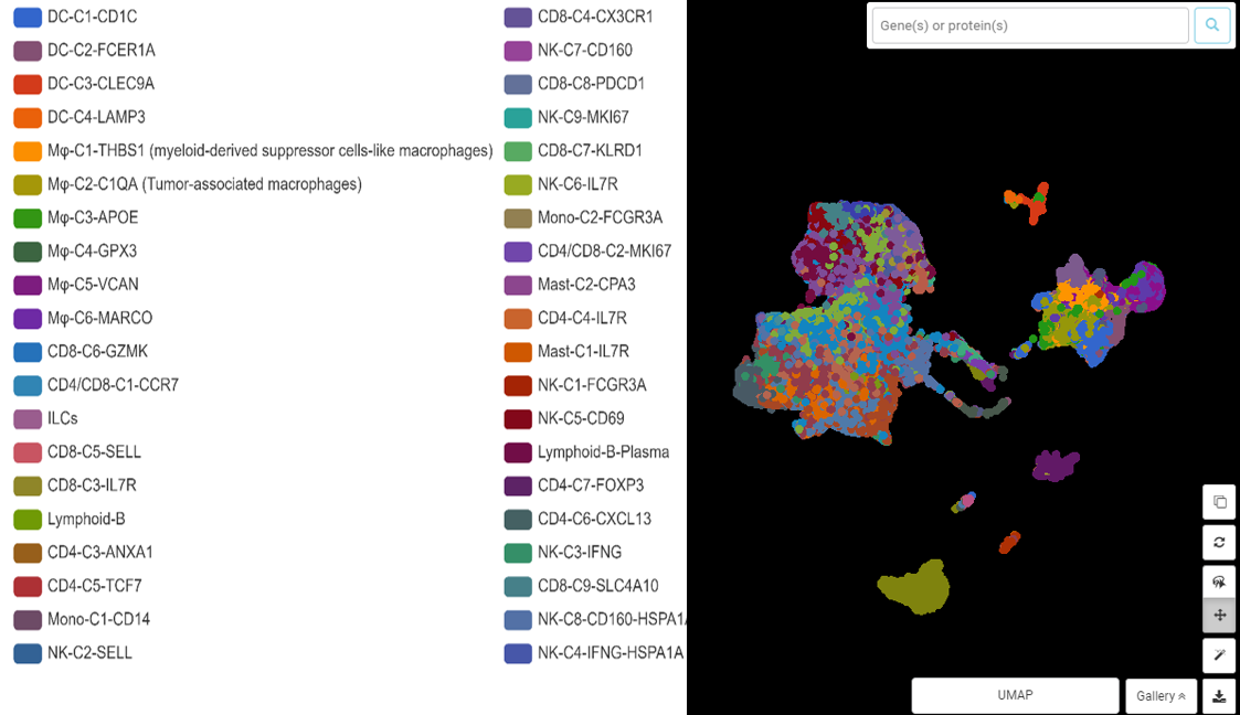 scrna seq clustering cell subtype