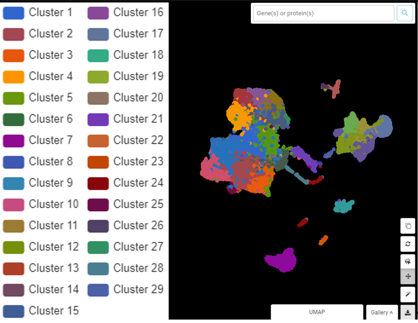 scrna seq clustering graph based